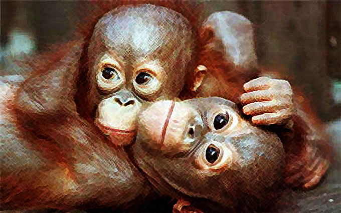 The Hundredth Monkey book cover